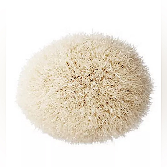 MAC Cosmetics 168 SYNTHETIC LARGE ANGLED CONTOUR BRUSH NEW IN SEALED PACKAGING - Picture 4 of 4